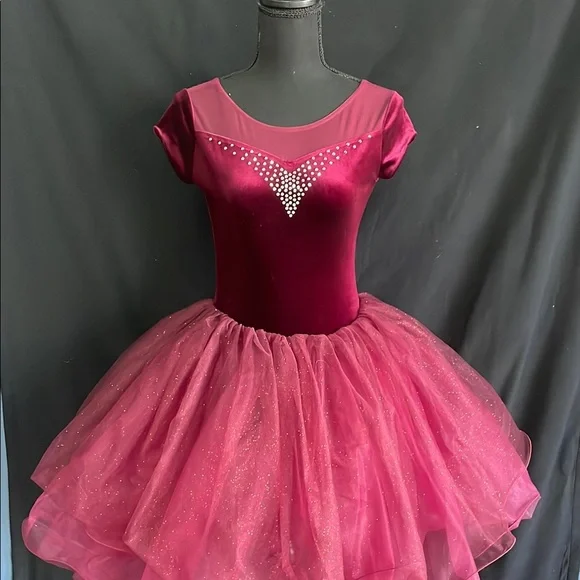 Weissman Costumes Weissman Cherry Velvet Dance Costume With